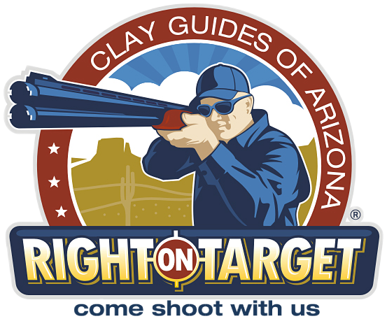 A man is aiming a gun at the target.